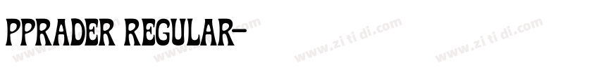 pprader regular字体转换 pprader regular字体转换